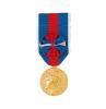 Services Militaires Volontaires Grade Or Ordonnance 