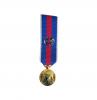 Services Militaires Volontaires Grade Or Réduction