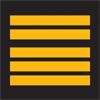 Galon de poitrine Homme - GM Colonel