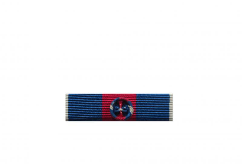 Dixmude Services Militaires Volontaires - Grade Or