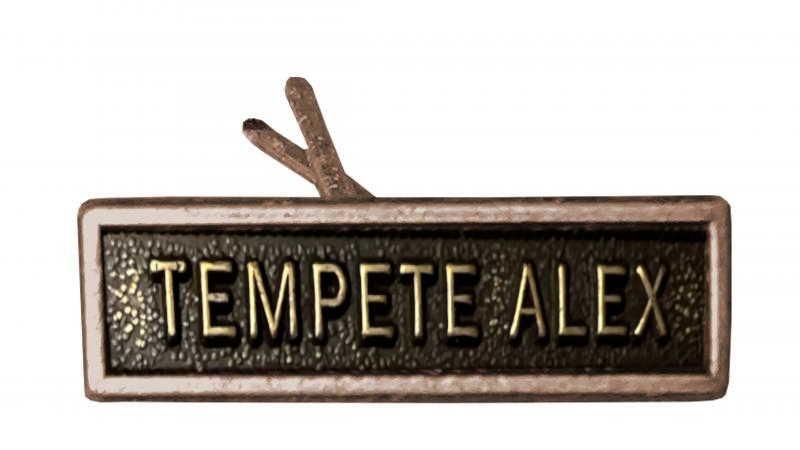 Tempête Alex bronze (Agrafe réduction)
