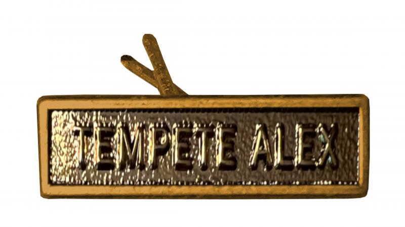 Tempête Alex or (Agrafe réduction)