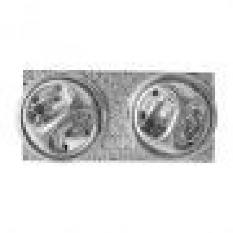 Grade de calot GD Adjudant-chef (fixation pin's)