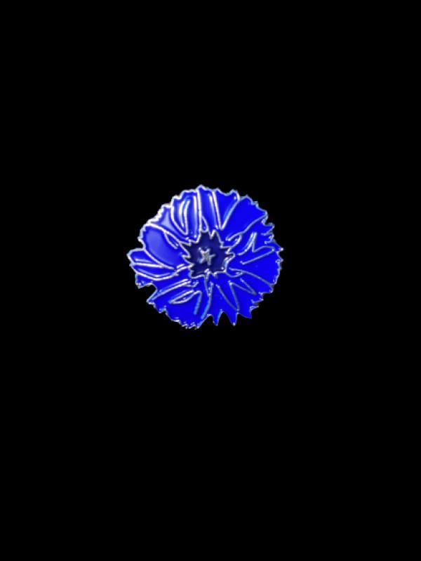 Pin's bleuet