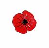 Pin's coquelicot