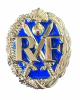 Insigne Chef de section Sous Officier GD