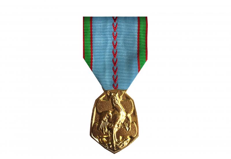 Médaille Commémorative 39-45 Ordonnance