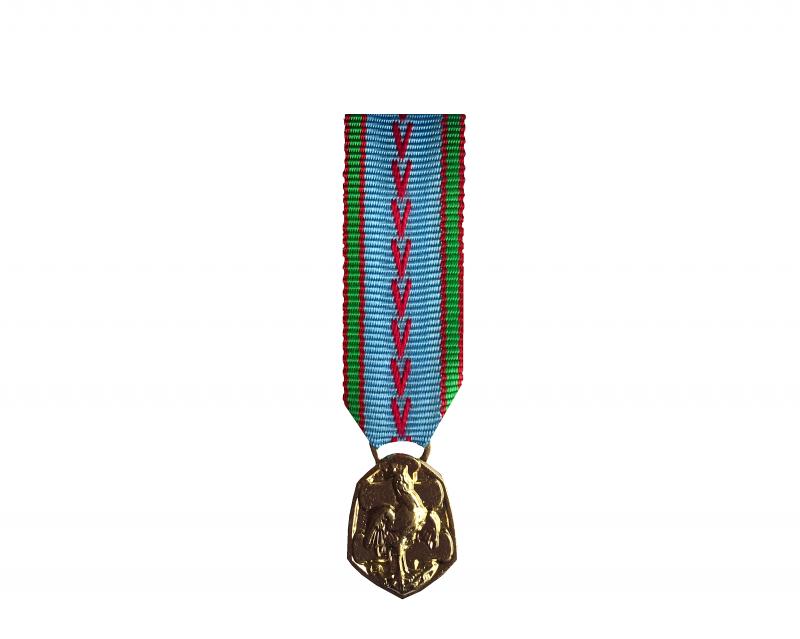 Médaille Commémorative 39-45 Réduction