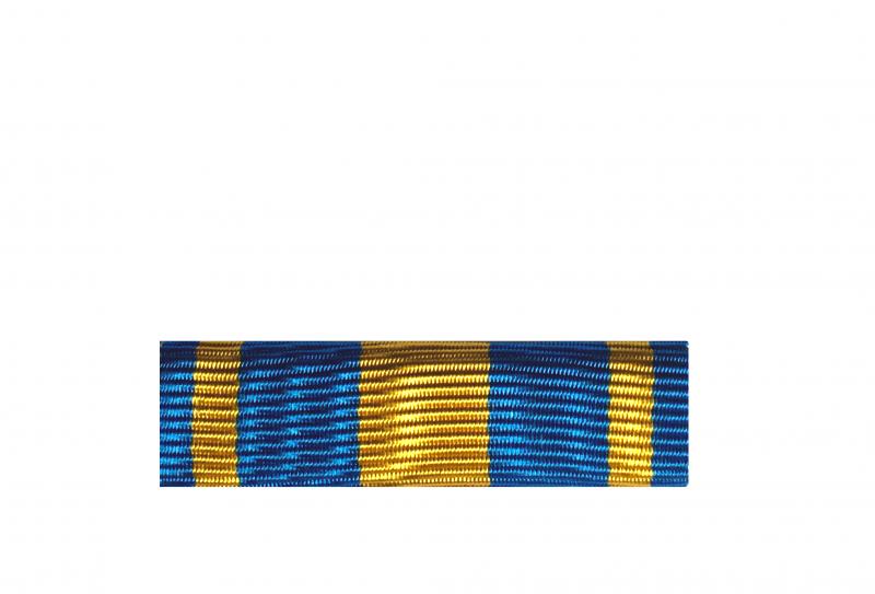 Dixmude Opérations Françaises au Moyen-Orient
