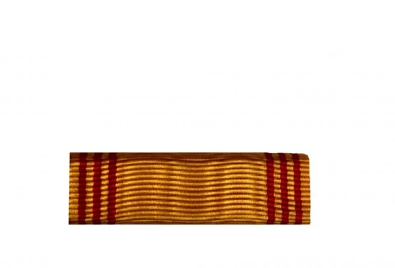 Dixmude Insigne du Réfractaire