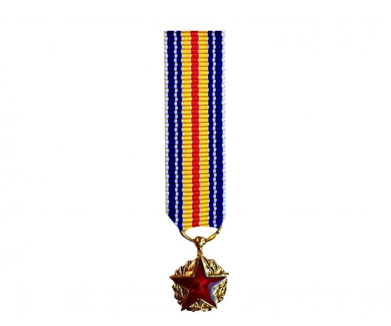 Médaille des blessés Militaires Réduction