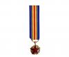 Médaille des blessés Militaires Réduction