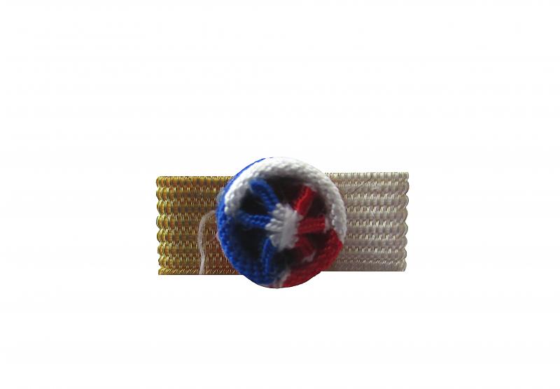 Rosette Courage et Dévouement - Grade Vermeil
