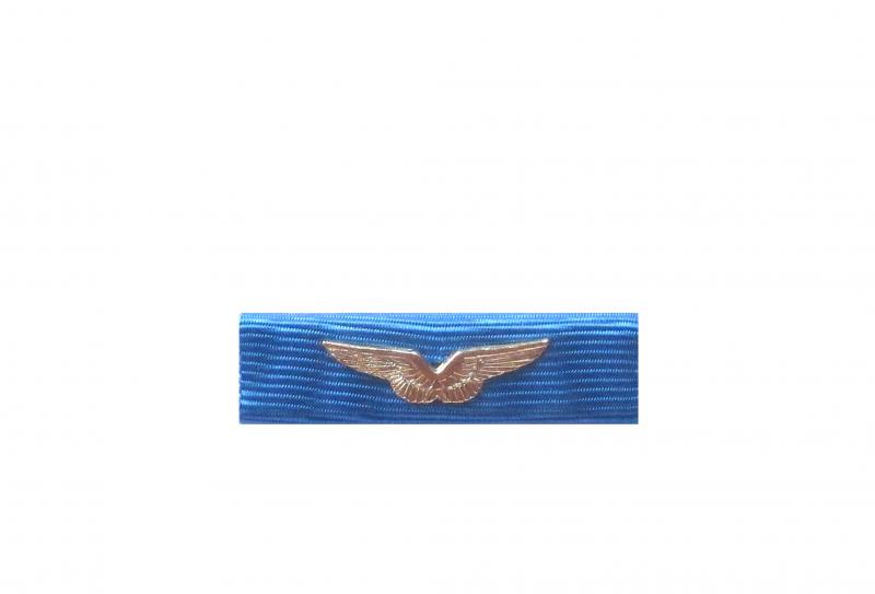 Dixmude Aéronautique avec ailes dorées