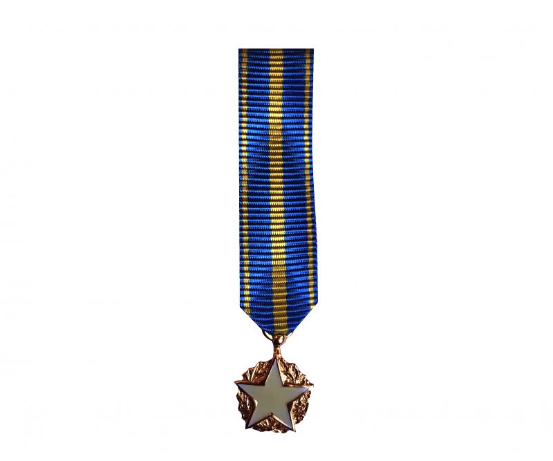 Médaille des Blessés Civils Réduction