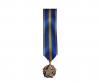 Médaille des Blessés Civils Réduction
