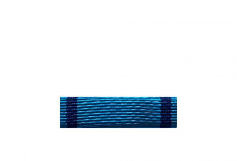 Dixmude Jeunesse et Sport - Grade Bronze