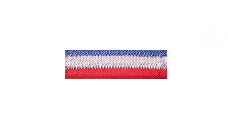 Dixmude Personnel Civil de la Défense TERRE GENDARMERIE - Grade Bronze