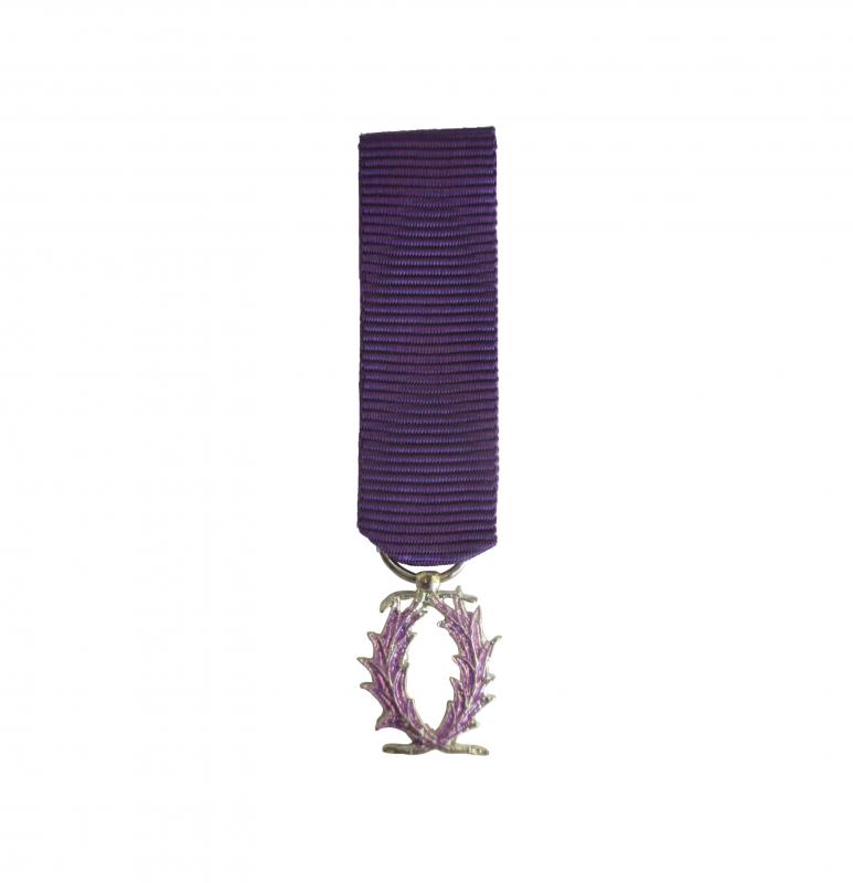 Palmes Académiques Chevalier Réduction