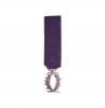 Palmes Académiques Chevalier Réduction