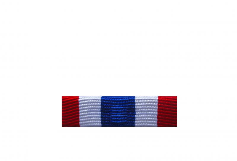 Dixmude Police (Honneur) - Classe Argent