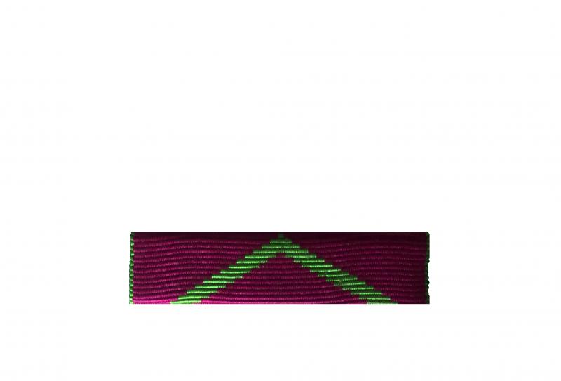 Dixmude Protection Judiciaire de la Jeunesse (Honneur) - Grade Bronze