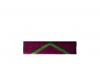 Dixmude Protection Judiciaire de la Jeunesse (Honneur) - Grade Bronze