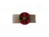 Rosette Médaille de la Famille ANCIEN MODÈLE - Grade Or