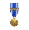 OTAN Macédoine ERYM Ordonnance