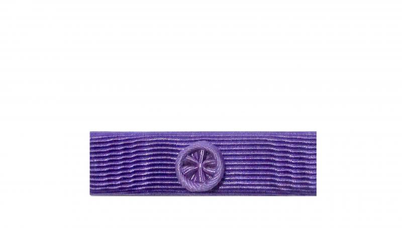 Dixmude Officier Palmes Académiques