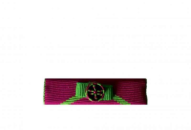 Dixmude Protection Judiciaire de la Jeunesse (Honneur) - Grade Or