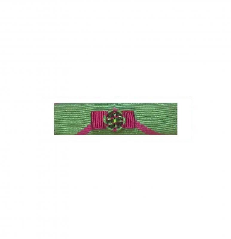 Dixmude Pénitentiaire (Honneur)  - Grade Or