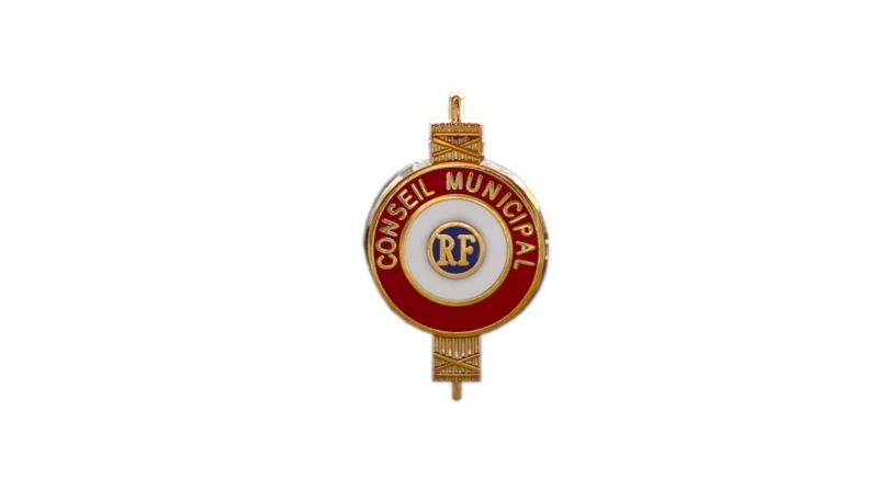 Pin s